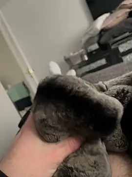 Furdale online show from February 10, 1:55 pm