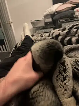 Furdale online show from February 11, 6:11 pm