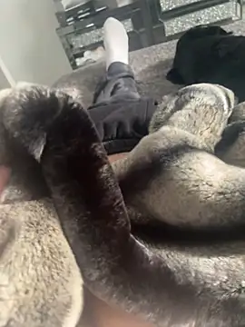 Furdale online show from February 22, 1:24 pm