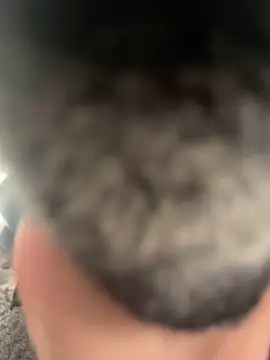 Furdale online show from February 22, 4:40 pm