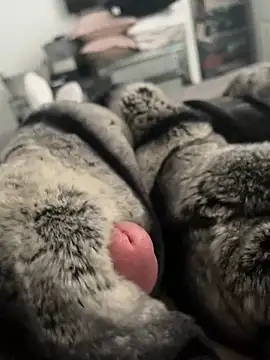 Furdale online show from February 26, 12:58 pm