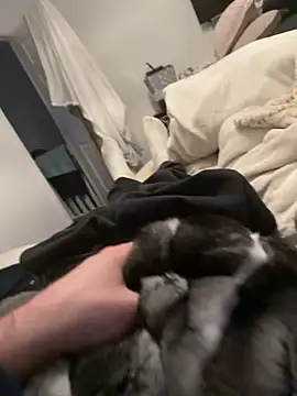 Furdale online show from February 4, 4:35 pm