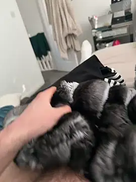 Furdale online show from March 7, 3:42 pm