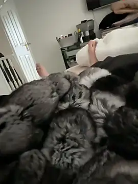 Furdale online show from March 15, 12:44 pm