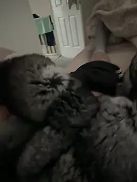 Furdale online show from April 9, 11:04 am