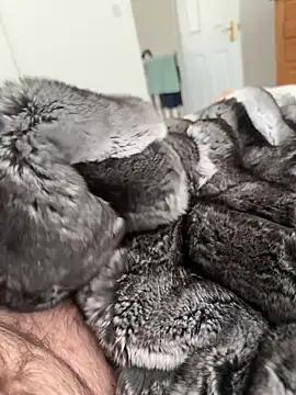 Furdale online show from April 23, 1:57 pm