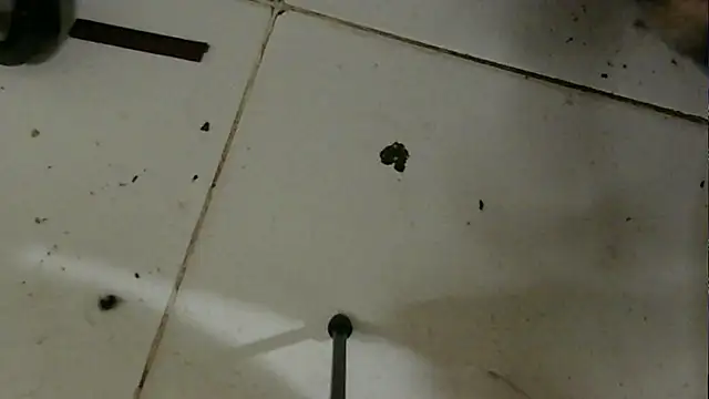 chino roz online show from February 19, 3:38 pm