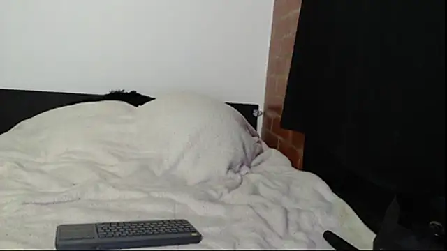 Snapshot of Sofynix chatting on November 15, 12:30 am Sofynix online show from November 15, 12:30 am