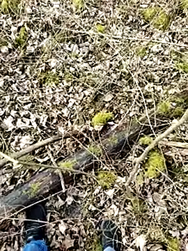 Boring one online show from March 17, 1:50 pm