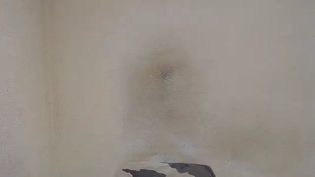 AlexNudo online show from December 31, 12:46 pm