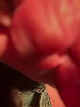 Im sophiie online show from February 13, 5:58 am