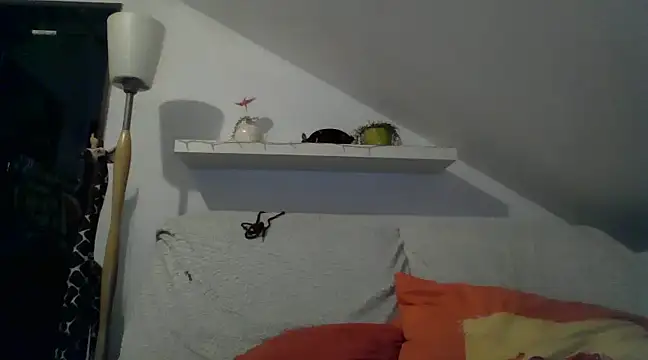 Cambitchboy online show from February 14, 5:09 am