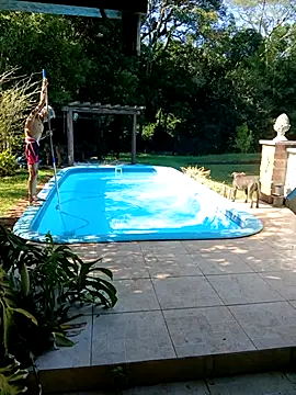 dutra498 online show from February 3, 11:59 am