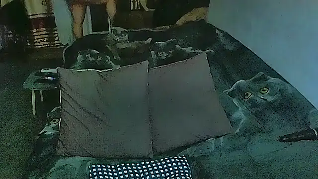 sex2 online show from February 28, 11:06 pm