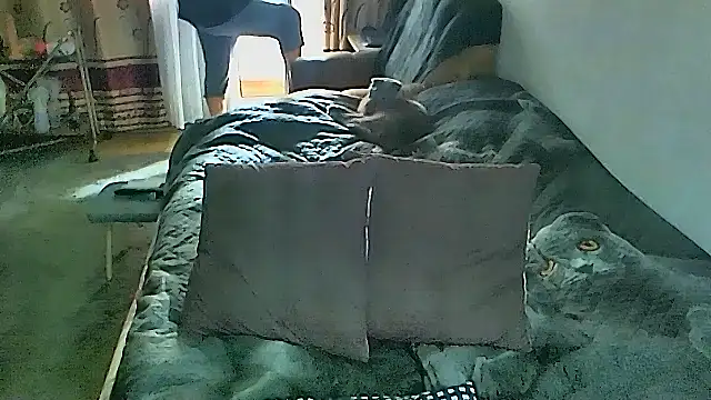 sex2 online show from March 8, 2:04 am