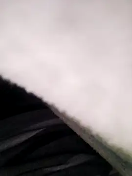 Pitercom online show from November 10, 8:41 pm