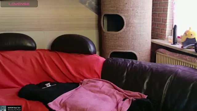 Snapshot of GamerGirl_Eve chatting on April 15, 12:23 pm GamerGirl Eve online show from April 15, 12:23 pm