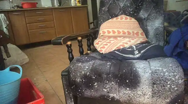 translove online show from January 5, 9:48 am