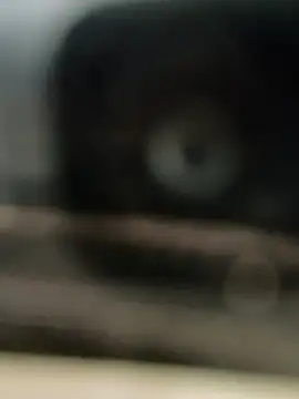 hornydick4you online show from March 2, 10:56 am