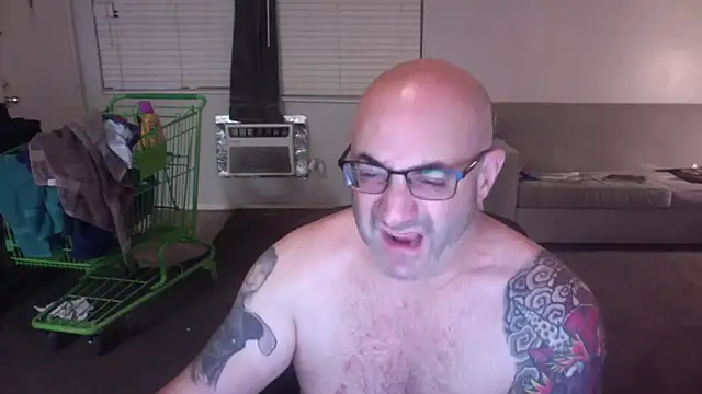 palidin1 online show from November 26, 1:23 pm