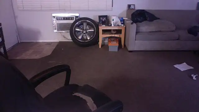 Snapshot of palidin1 chatting on April 17, 7:33 am palidin1 online show from April 17, 7:33 am