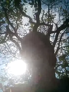 Mohni Das online show from March 25, 7:47 am