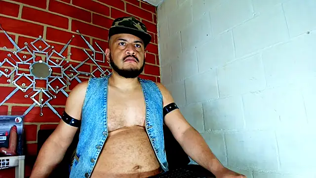 the master foal  online show from November 17, 5:52 pm