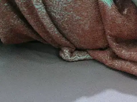 FUN4TIPS online show from March 2, 5:14 pm