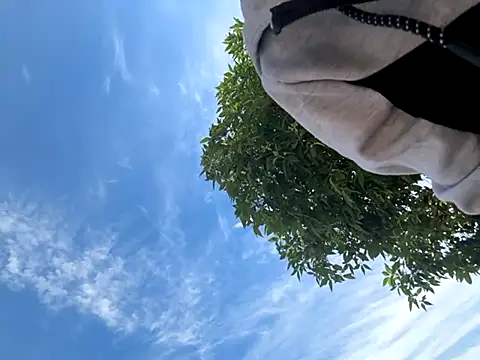 Snapshot of kingdennis6666 chatting on September 17, 7:26 pm kingdennis6666 online show from September 17, 7:26 pm