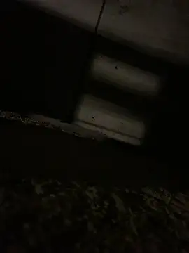 JotaCe2022 online show from April 23, 9:39 pm