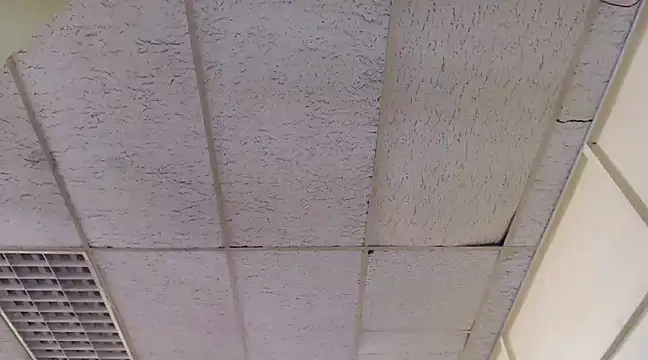 Mydreamgirrl online show from March 6, 1:46 pm