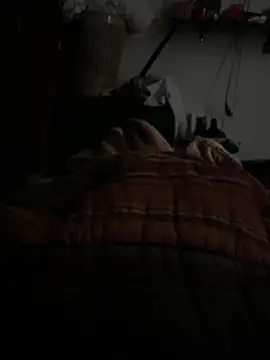 Snapshot of simonovic chatting on February 24, 3:43 pm simonovic online show from February 24, 3:43 pm