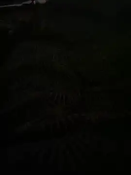 bomakrn online show from November 3, 10:38 am