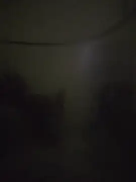 landy20cm online show from October 16, 10:49 am