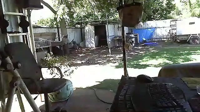 herbie010666 online show from January 17, 5:11 am