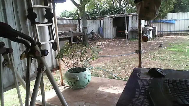 herbie010666 online show from September 16, 3:29 am