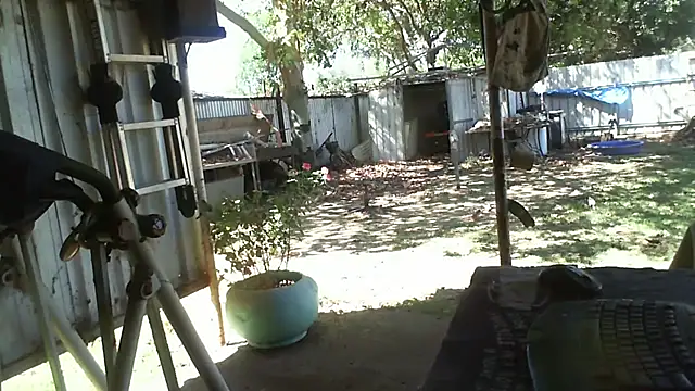 herbie010666 online show from November 6, 4:24 am