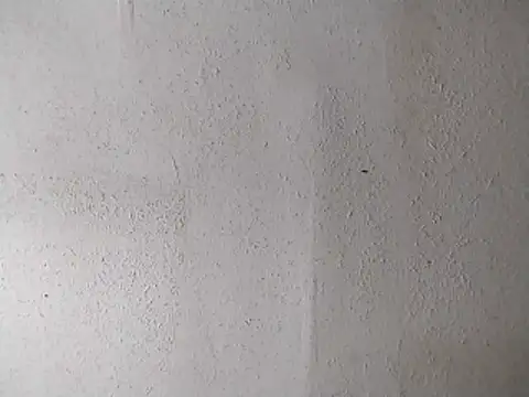 247Srokin online show from April 13, 7:14 am