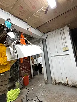 charactrzero online show from December 23, 9:51 pm