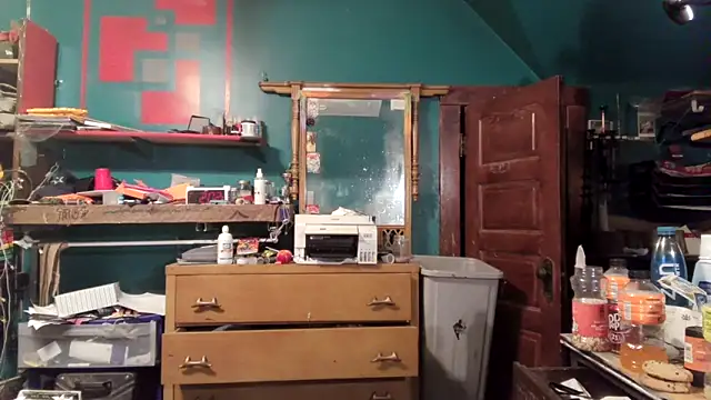 Snapshot of charactrzero chatting on February 5, 2:27 am charactrzero online show from February 5, 2:27 am