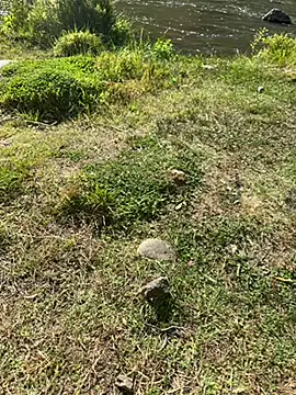 MAHKE12 online show from September 27, 11:15 am