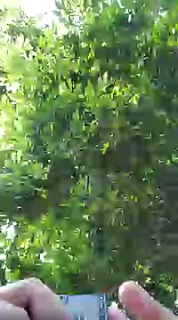 pene8991 online show from January 17, 7:16 pm