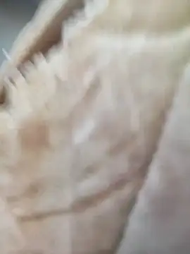 Comedordecu0289 online show from September 20, 2:29 pm