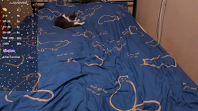 Snapshot of eva_zero chatting on February 27, 2:28 pm eva zero online show from February 27, 2:28 pm