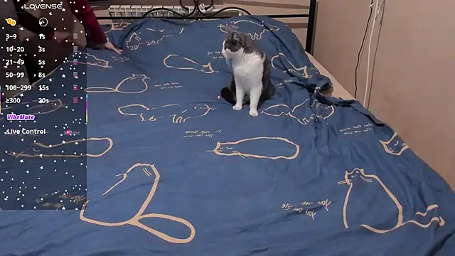 Snapshot of eva_zero chatting on March 3, 2:01 pm eva zero online show from March 3, 2:01 pm