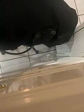 Snapshot of dingoding chatting on January 24, 8:13 am dingoding online show from January 24, 8:13 am