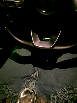 Snapshot of dingoding chatting on November 19, 8:47 am dingoding online show from November 19, 8:47 am