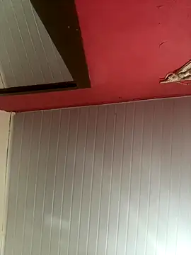 pimenta gaby online show from November 30, 12:20 pm