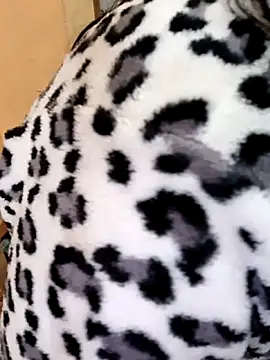 Diya 143 online show from December 22, 6:10 am