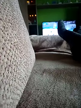 vena4 online show from February 14, 8:55 am